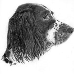 Jasper 2
